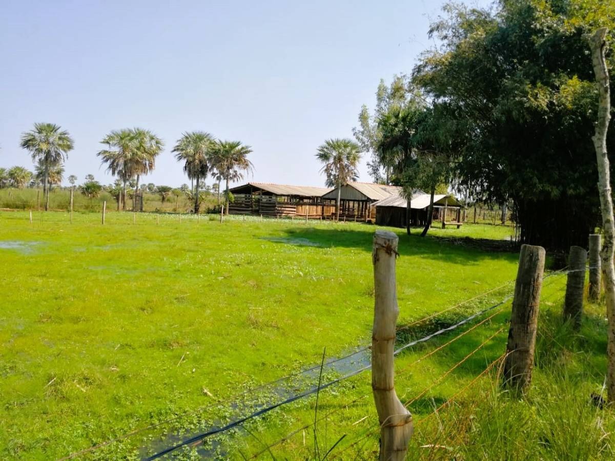 VENDO GRANJA DE 13HAS EN VILLETA — foto 3