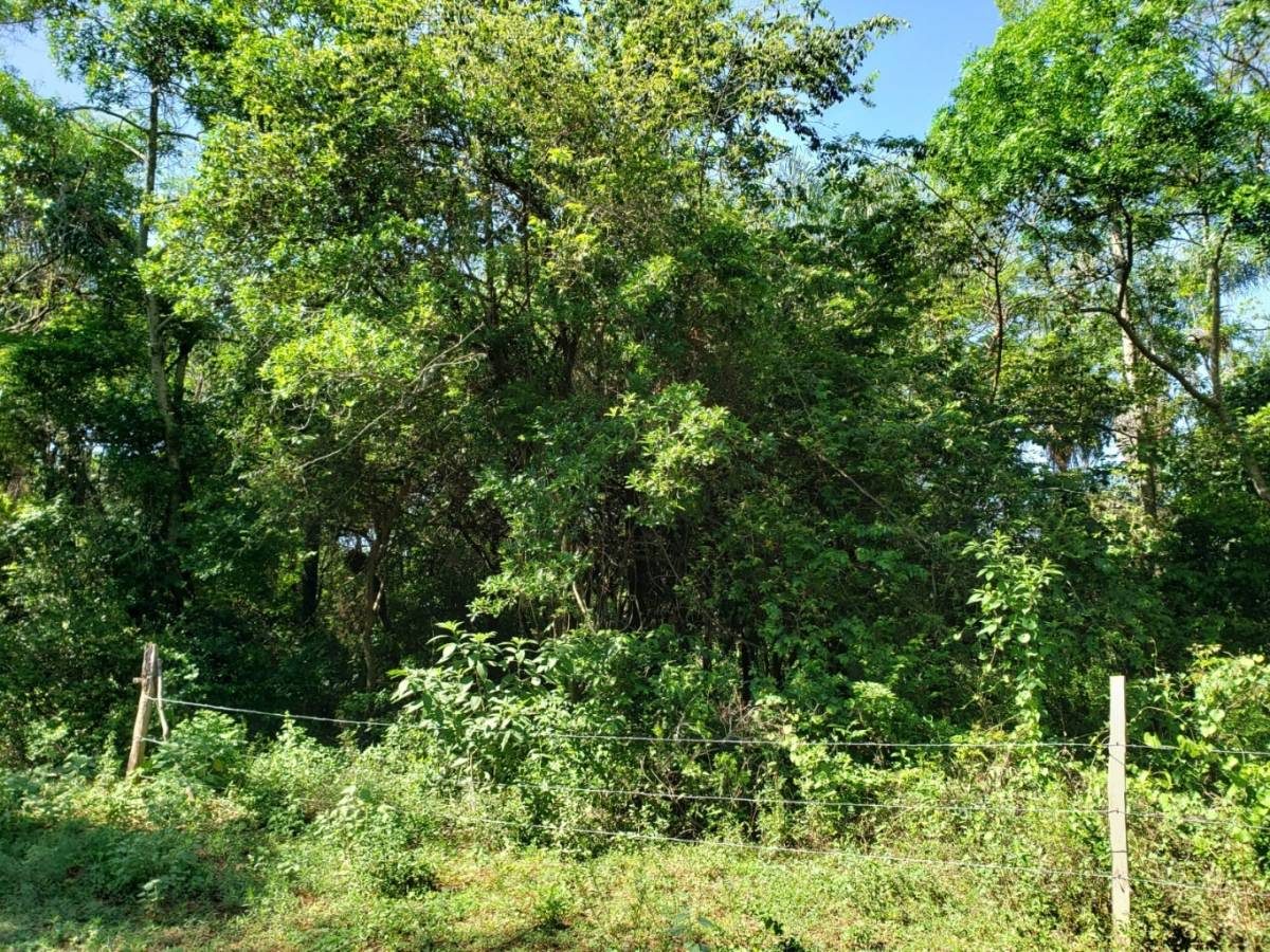 VENDO AMPLIO TERRENO DE 1.050 m2 — foto 3