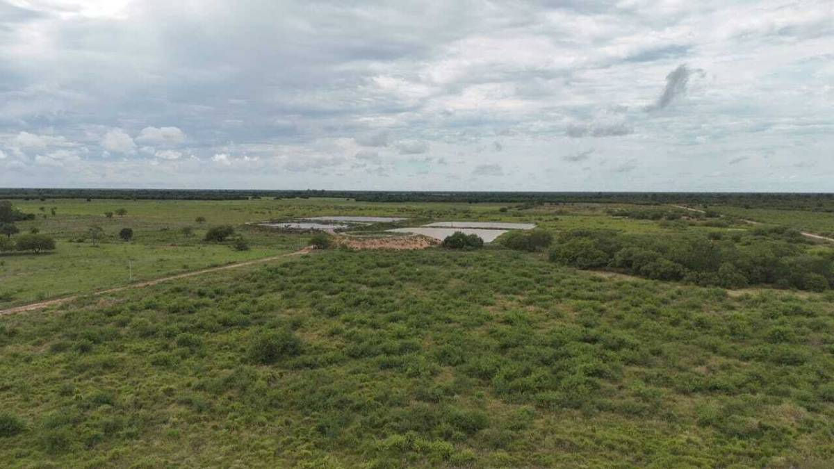 En venta estancia formada en Loma Plata - ID 43488 — foto 3