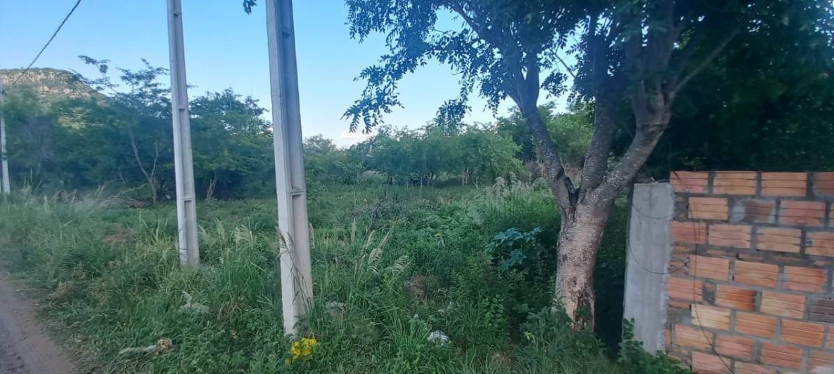 VENDO Terreno 4910 m2 sobre ruta - Paraguari — foto 2