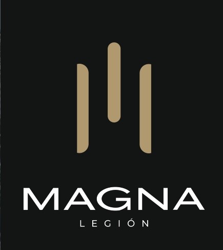 Grupo Magna
