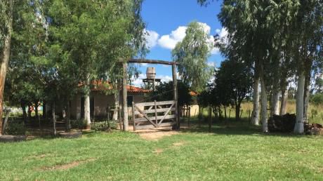 Venta De Terreno En Villa Hayes
