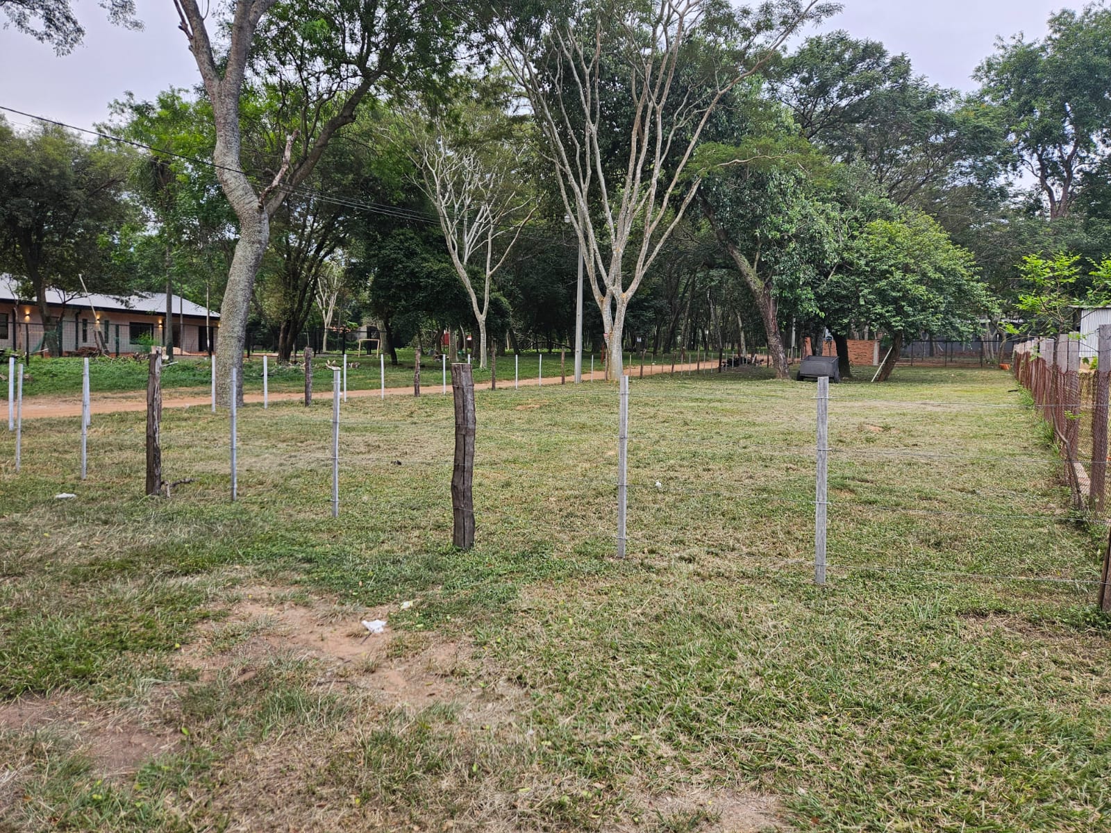 Vendo Terreno San Bernardino en Esquina — foto 2