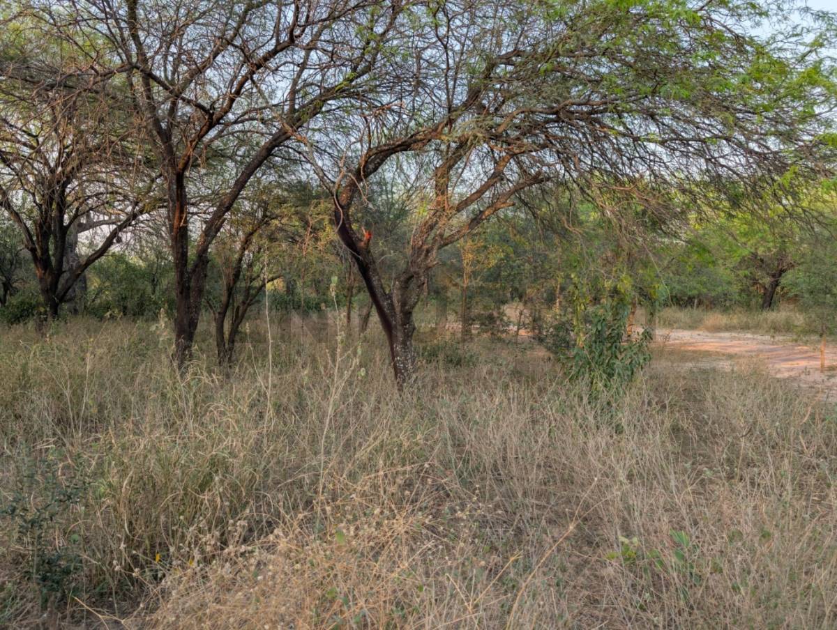 Venta de Terreno en Cruce Boquerón, Boquerón — foto 3
