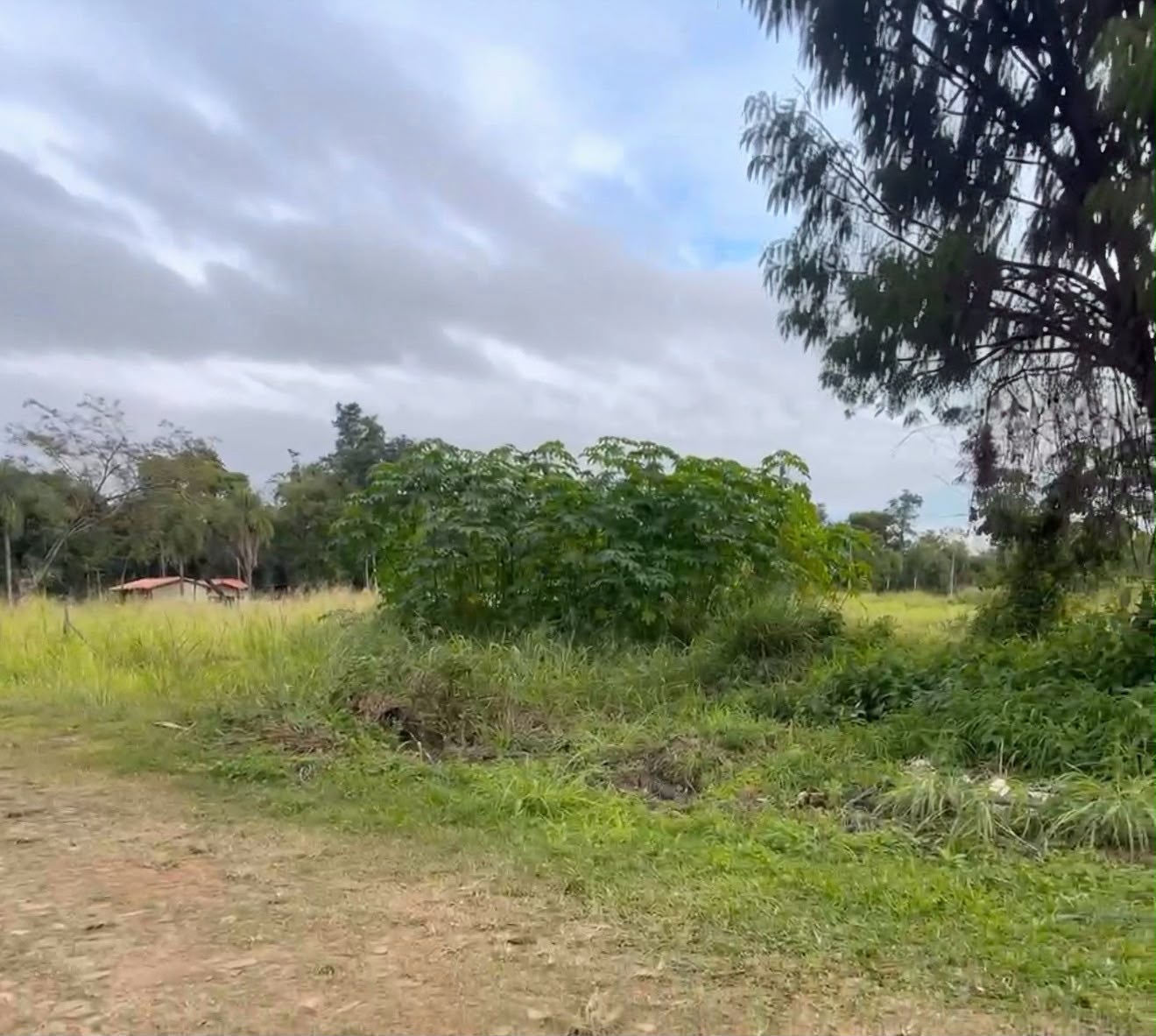Oferta!! San Bernardino - En Venta 5 Terrenos Juntos — foto 3