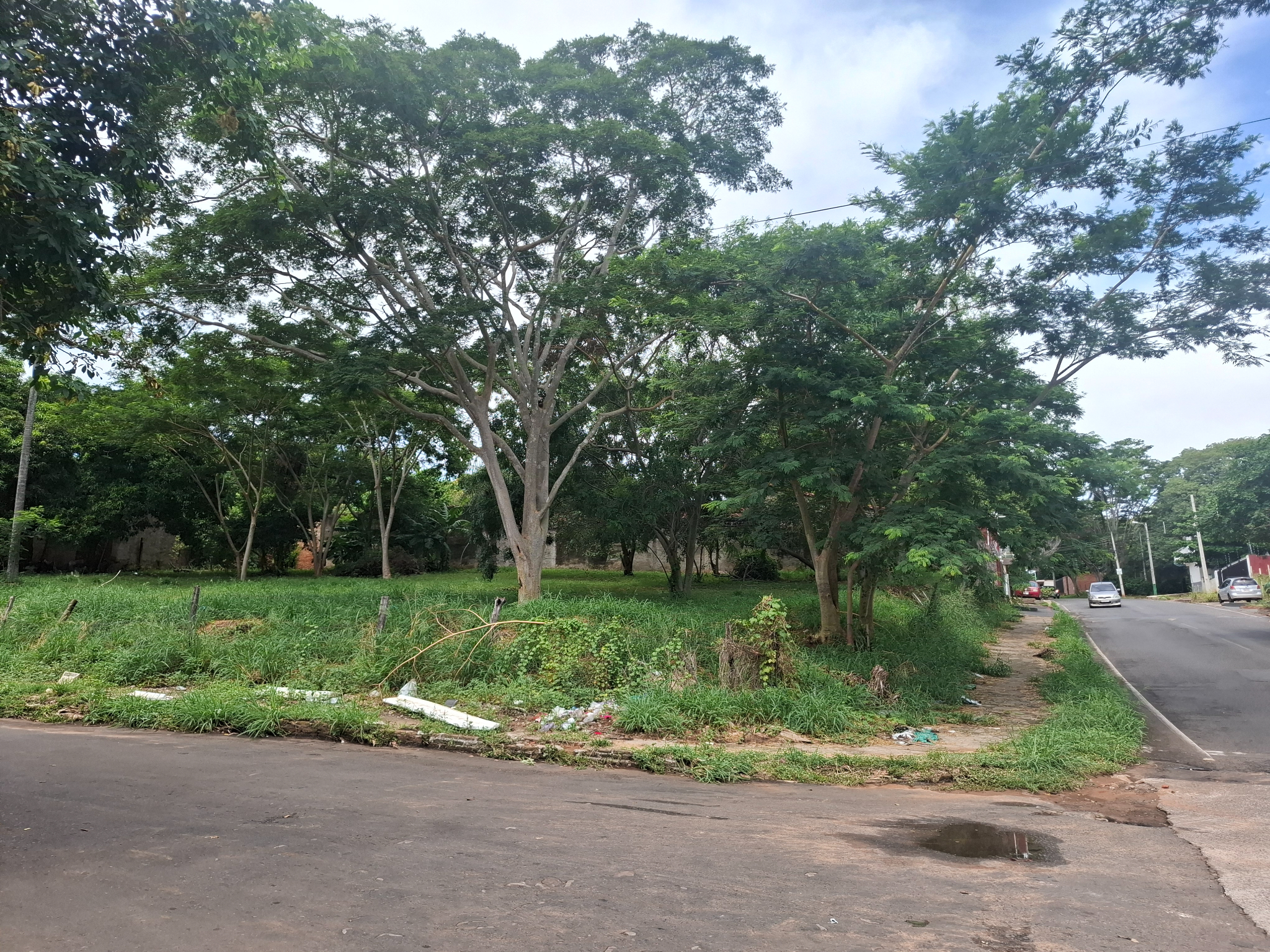 VENTA DE GRAN TERRENO EN FERNANDO DE LA MORA — foto 2