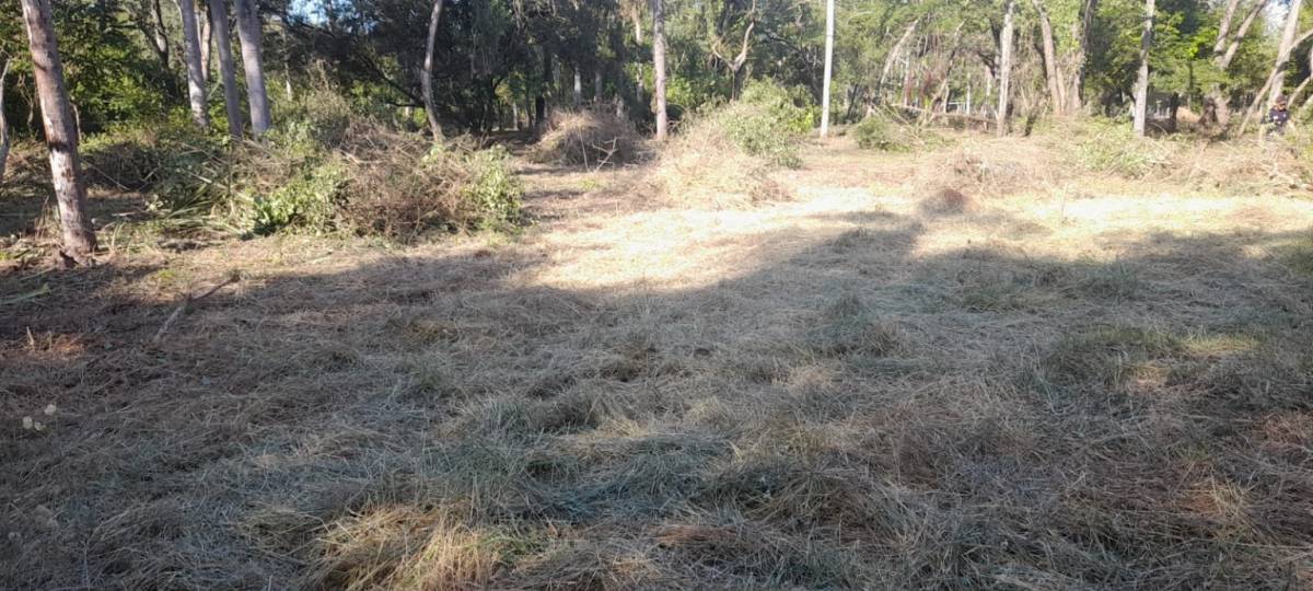 VENDO HERMOSO TERRENO SAN BERNARDINO ZONA CIERVO KUA — foto 2