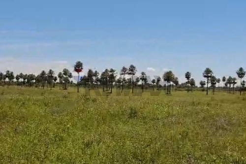 TERRENO EN VENTA, VILLA HAYES — foto 2