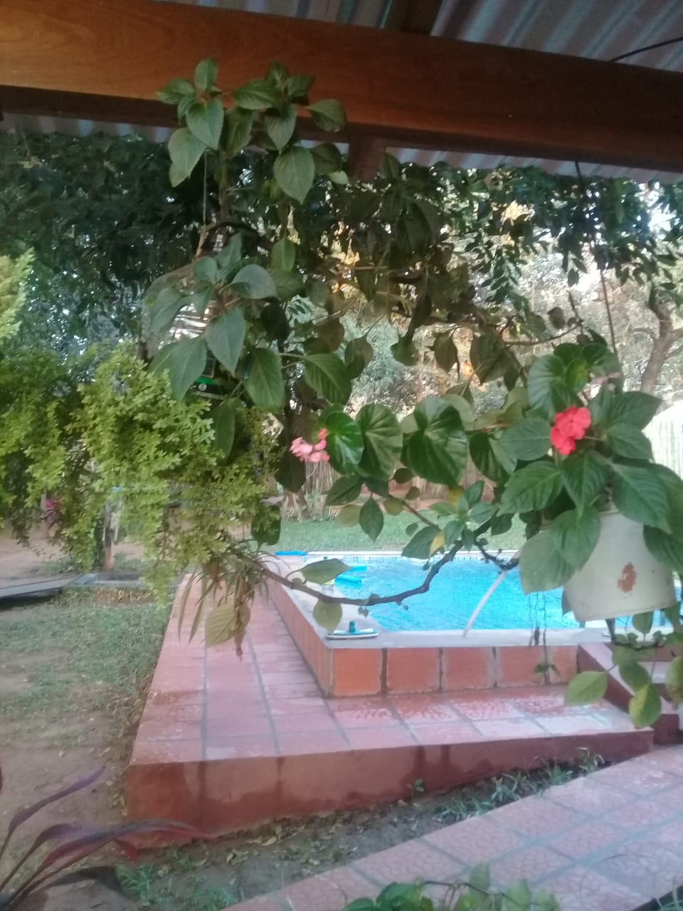 EN VENTA!!! PROPIEDAD EN PIRIBEBUY — foto 2