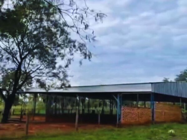 EN VENTA 50 HECTÁREAS A 10 KM DEL CENTRO DE PIRIBEBUY — foto 2