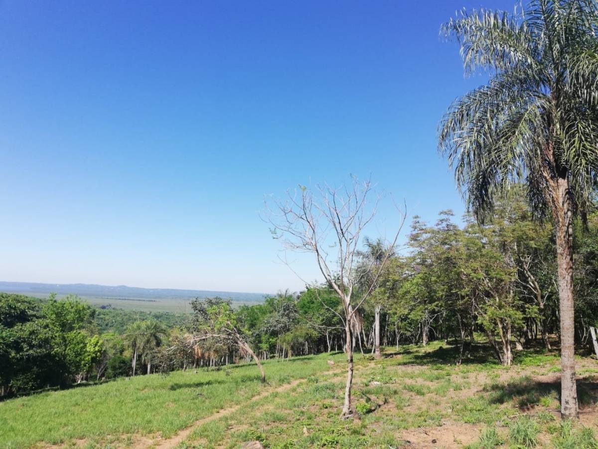 VENDO TERRENOS CON HERMOSAS VISTAS EN SANBER CAMINO A NUEVA COLOMBIA — foto 2