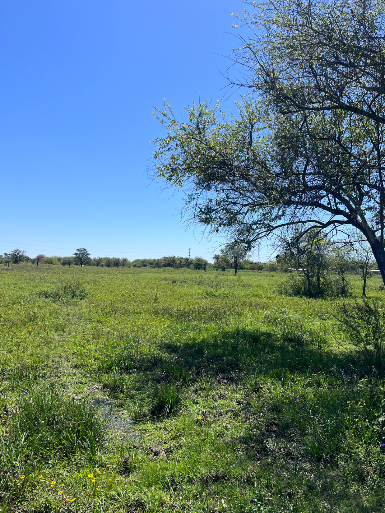 Terreno en venta - Villa Hayes — foto 2