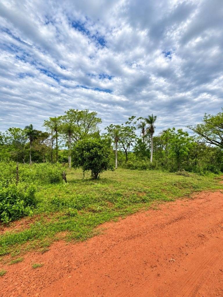 TERRENO EN VENTA - CIUDAD DE ALTOS — foto 3