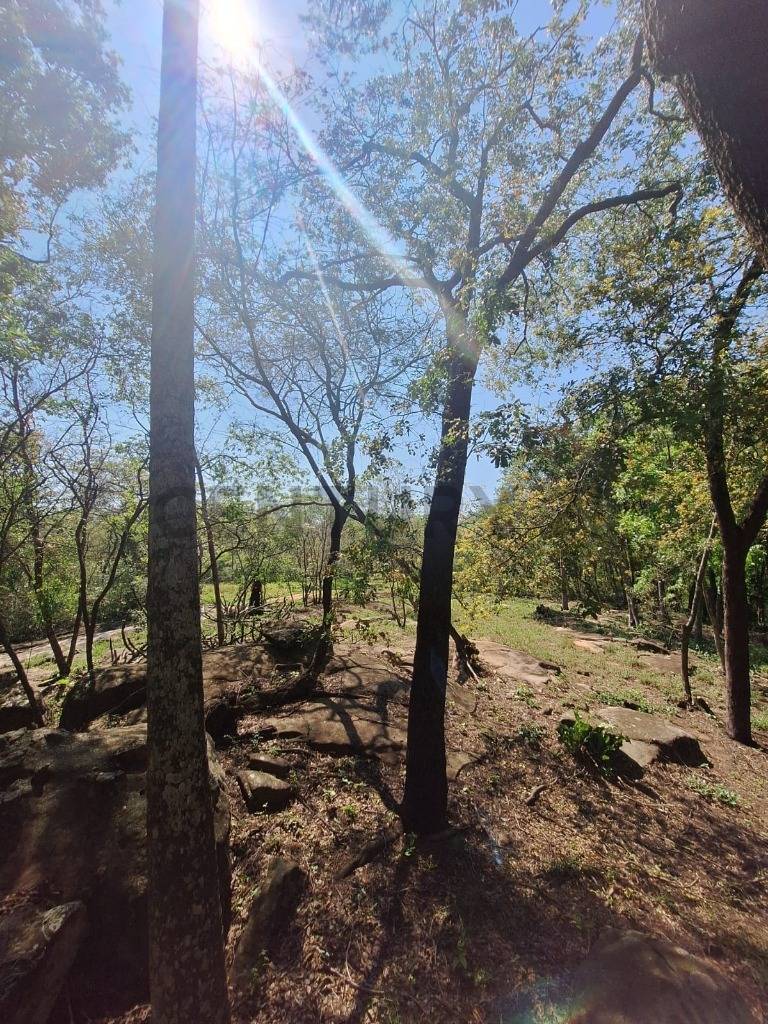 Venta de Terreno en San Bernardino, Cordillera — foto 3