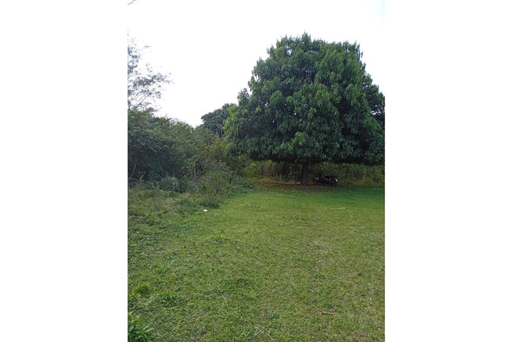 TERRENO EN VENTA - LA COLMENA — foto 2