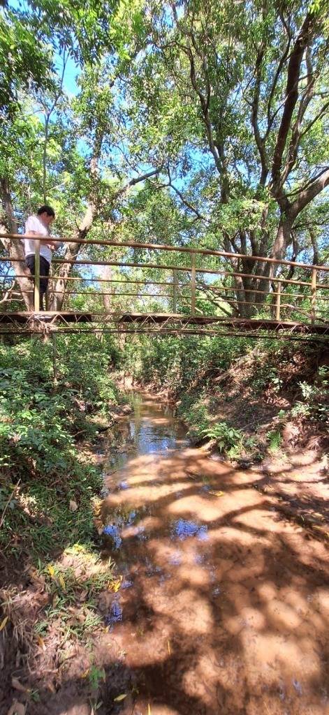PROPIEDAD A LA VENTA EN LA CIUDAD DE YAGUARON A 1.000 MTS DE LA RUTA 1, CON CASA — foto 2