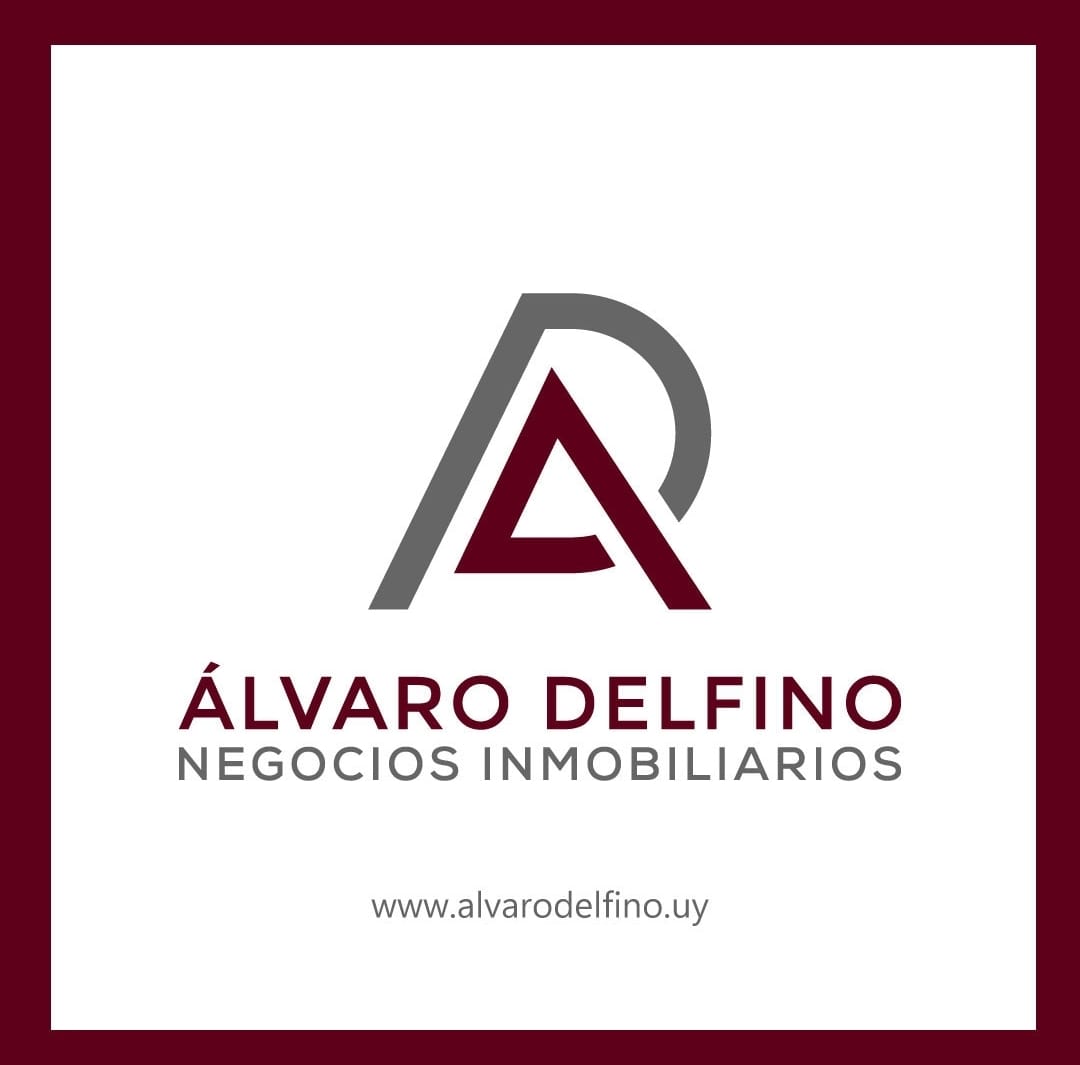 ALVARO DELFINO Negocios Inmobiliarios<br/>Alvaro Delfino