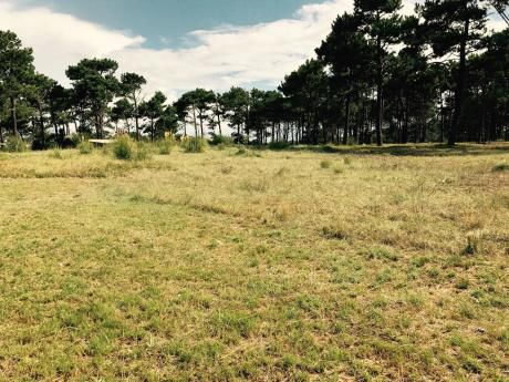 Lote En Venta
