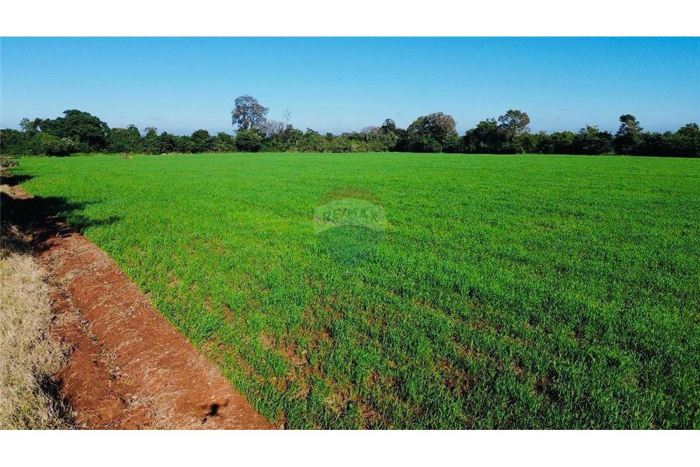 TERRENO EN VENTA - BARRIO SAN BLAS INDEPENDENCIA — foto 3