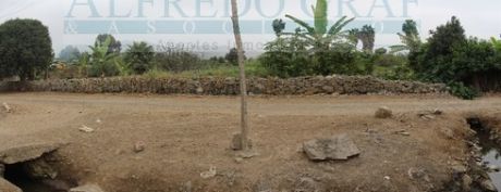 Terreno Agricola Venta Av. Libertad - Urb. San Antonio - Mala