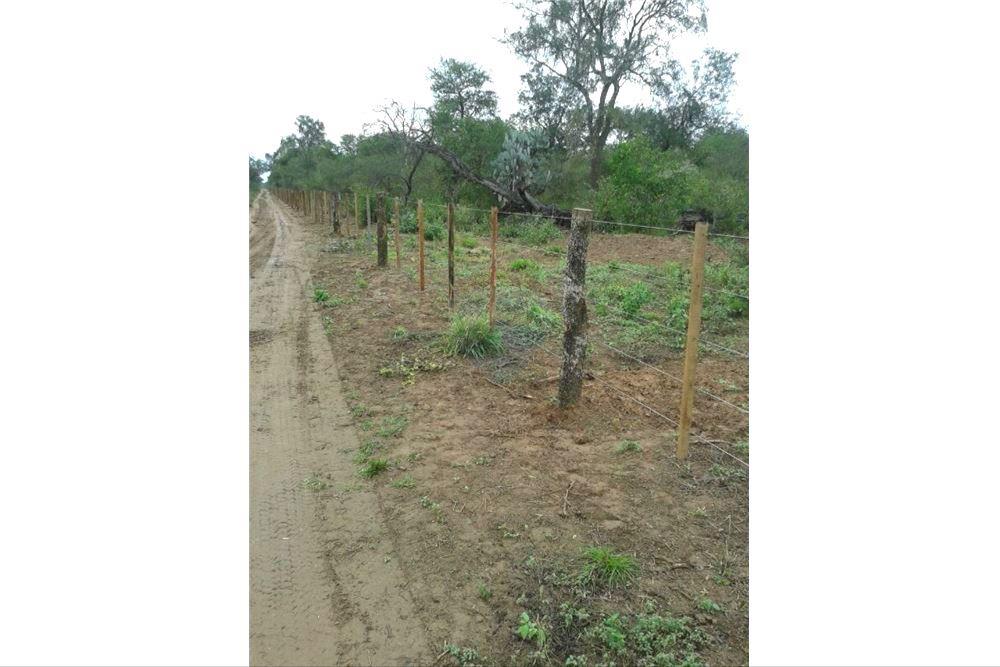 Estancia/Campo - Venta - Boquerón Fortín Pozo Hondo — foto 2
