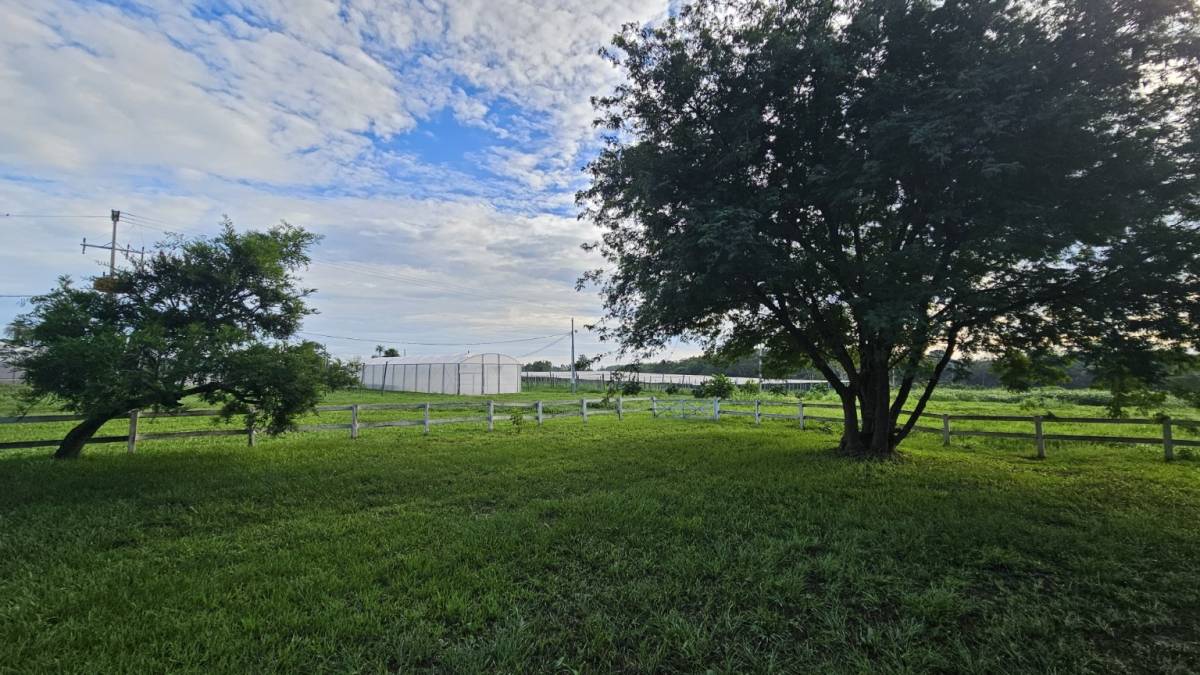 Venta De Inmueble Rural Agrícola Ganadero En Itacurubí De La Cordillera — foto 2