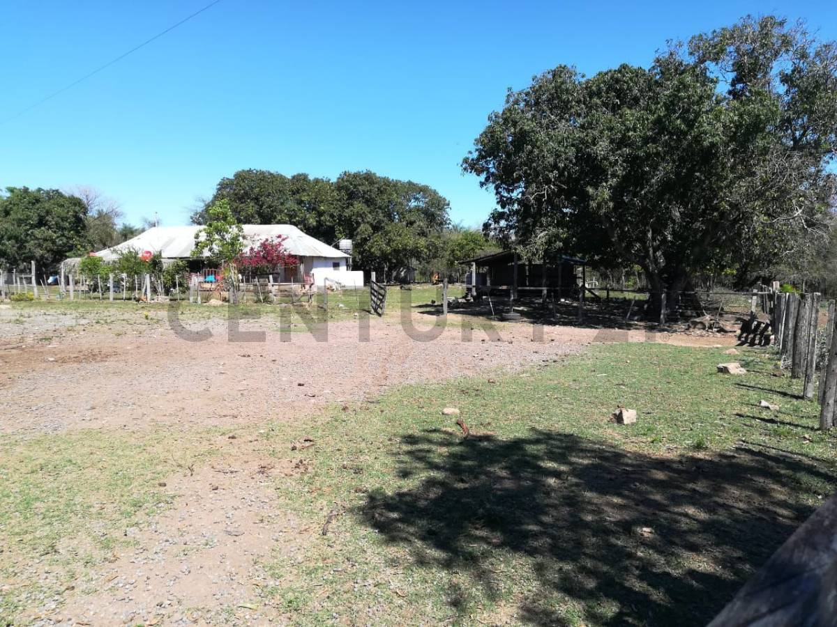 Oferta!! Vendo Estancia En Caapucú - Departamento De Paraguarí !!! — foto 3