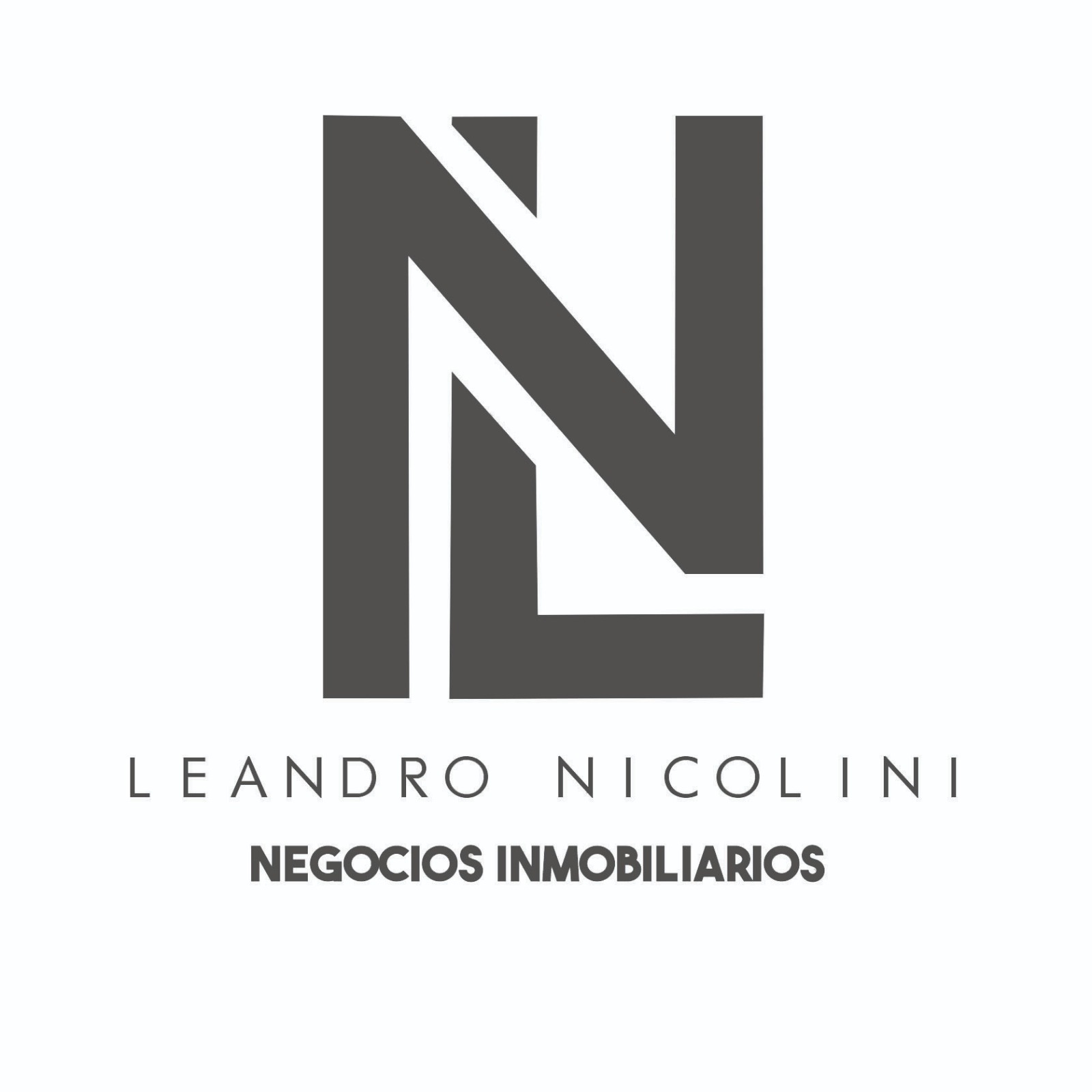 Leandro Nicolini Negocios Inmobiliarios
