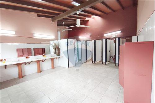 Depósito-Venta-PY Central Villa Elisa  Luis Alberto del Parana — foto 3