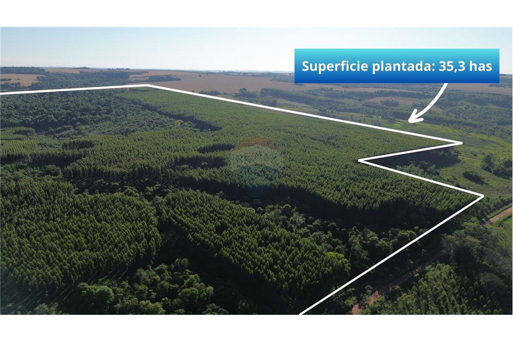 Terreno - Venta - Paraguay Itapúa Trinidad — foto 2