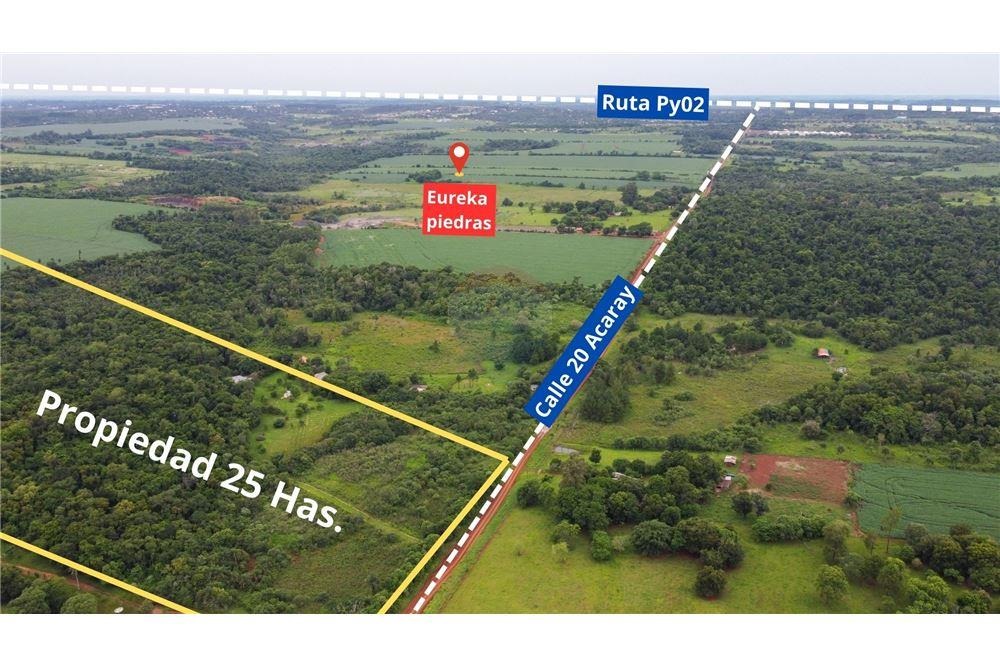 VENDO 25 HECTÁREAS SOBRE CALLE 20 MINGA GUAZU — foto 2