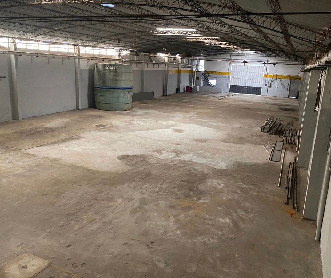 ALQUILO TINGLADO MULTIUSO UBICACIÓN ESTRATÉGICA MADAME LYNCH  AUTOPISTA ÑU GUAZÚ — foto 2