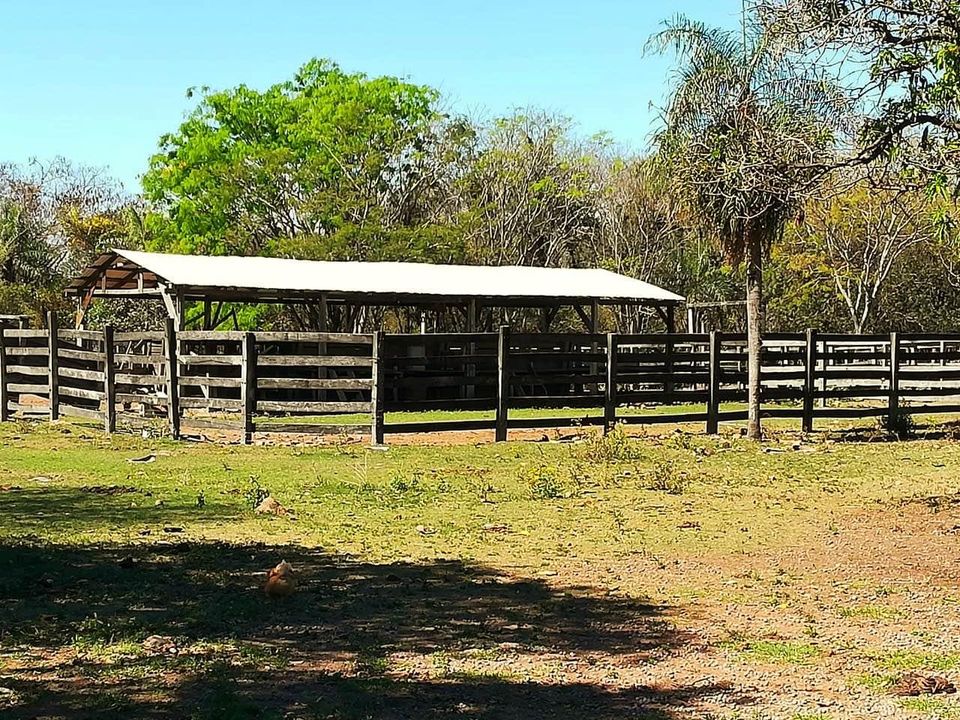 Campo en venta en Caapucú — foto 2