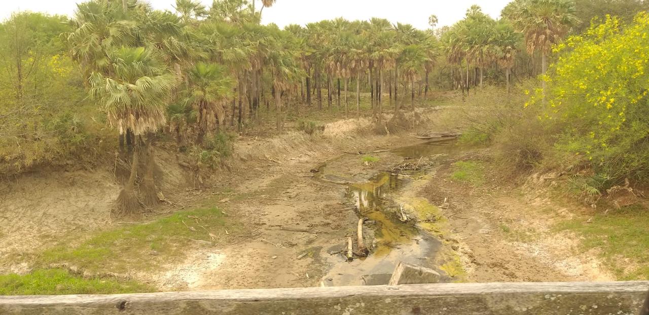 vendo terreno en  Colonia Navidad, a 8 Km del Asfalto. — foto 2
