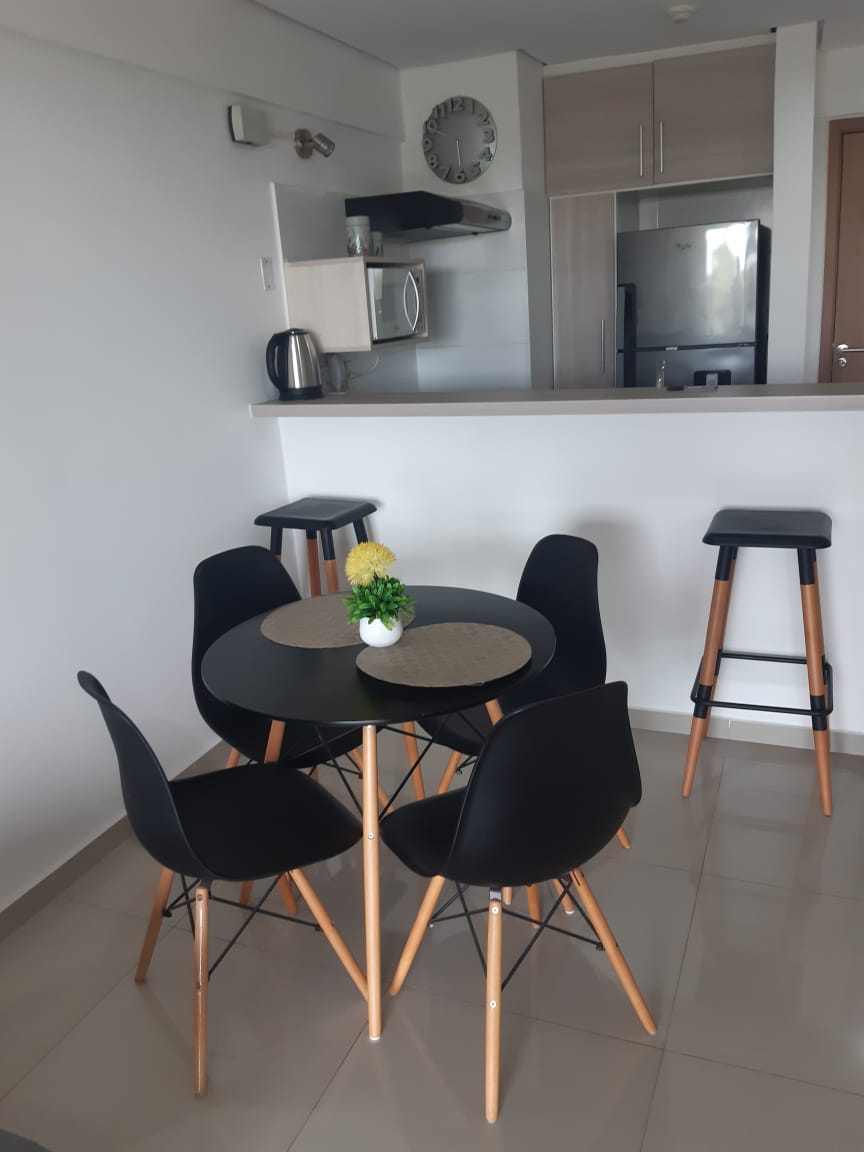 Alquilo Departamento Amoblado De Un Dormitorio En Barrio Mburucuya — foto 2