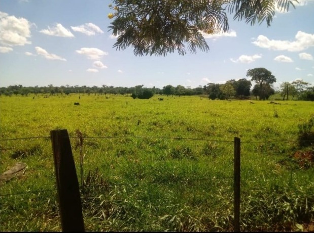 Vendo Campo Natural de 20.568 Hectáreas en Guazú Cua, Ñeembucú - CLCS6469309 — foto 3