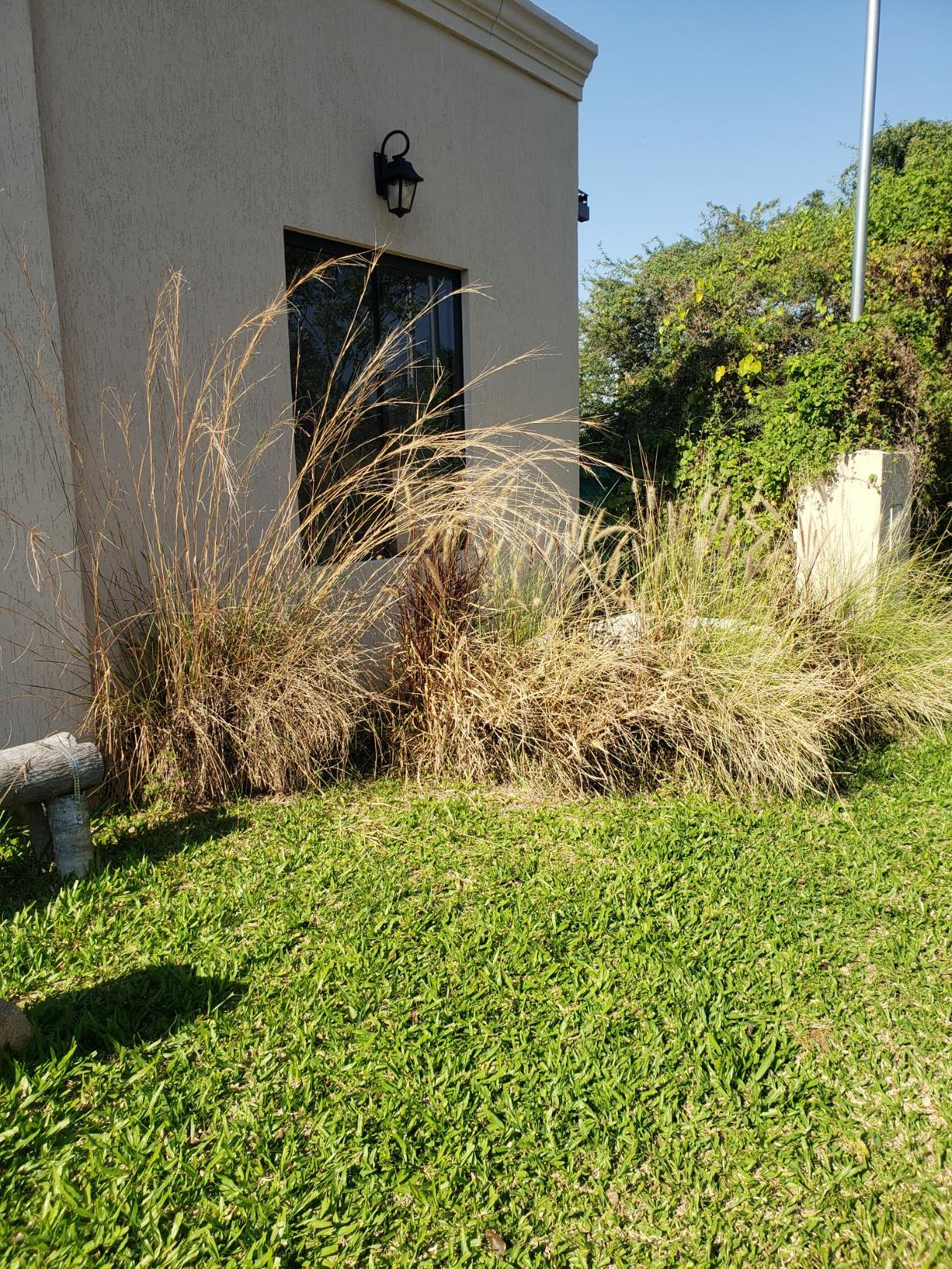 Casa en venta en Ypacaraí — foto 3