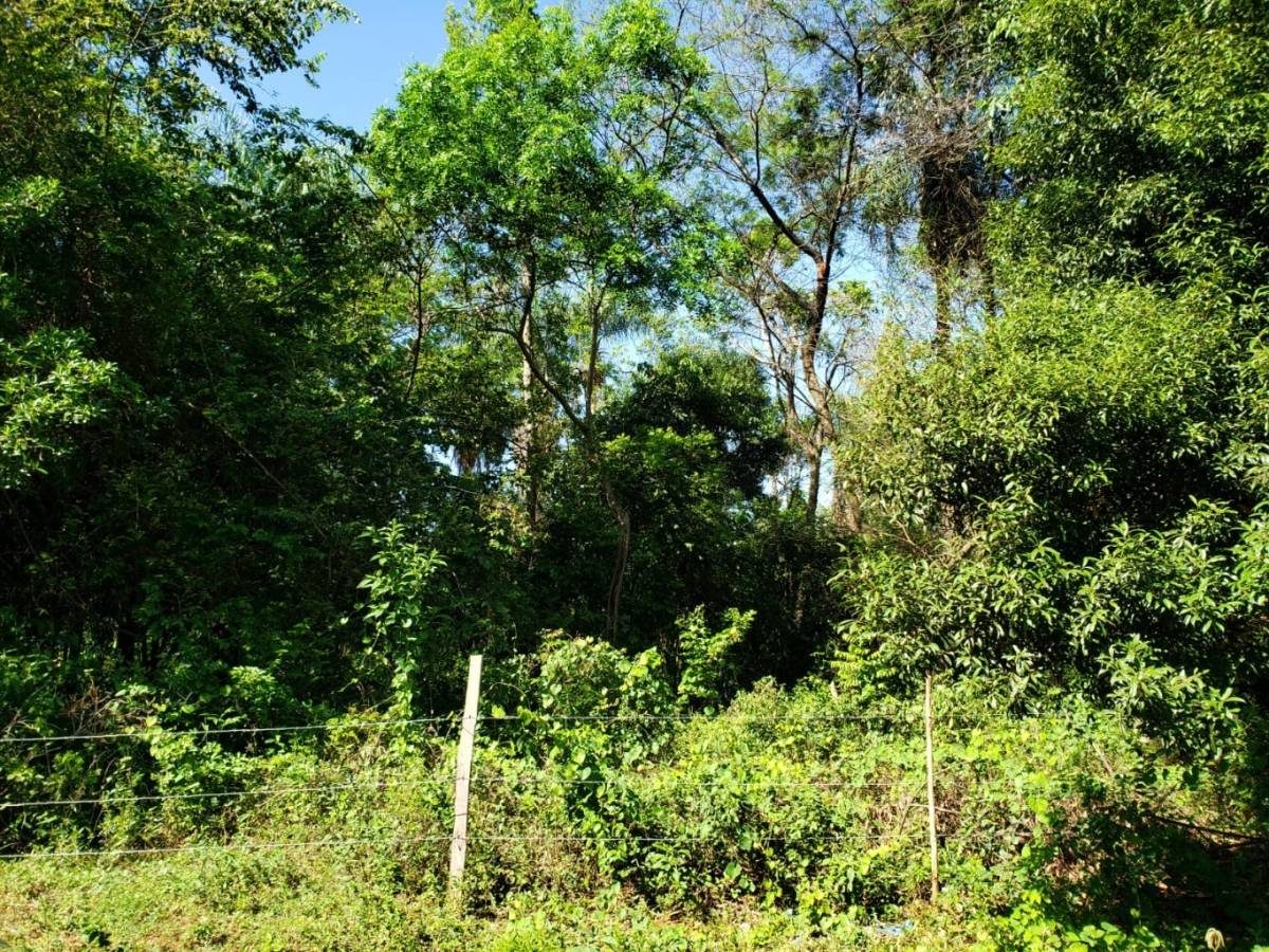 VENDO AMPLIO TERRENO DE 1.050 m2 — foto 2