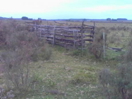 Campo Ganadero 65 Km De Mdeo