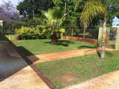 Unico Padrón En Parque De Miramar