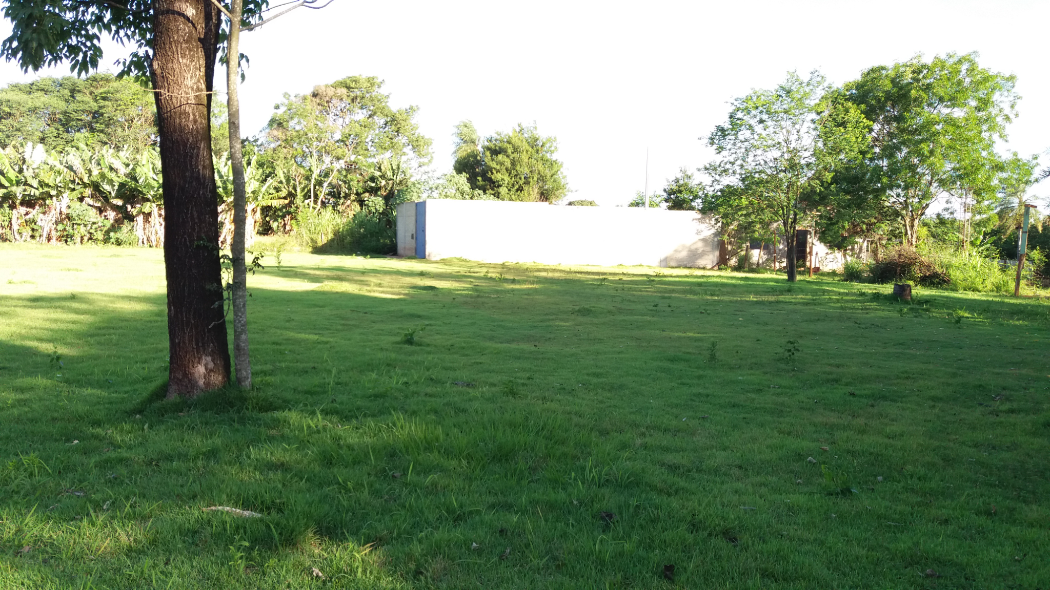 Vendo Terreno 4095 mts2 Km 6 Barrio Villa Fany CDE Por: 200,000 Dólares — foto 2