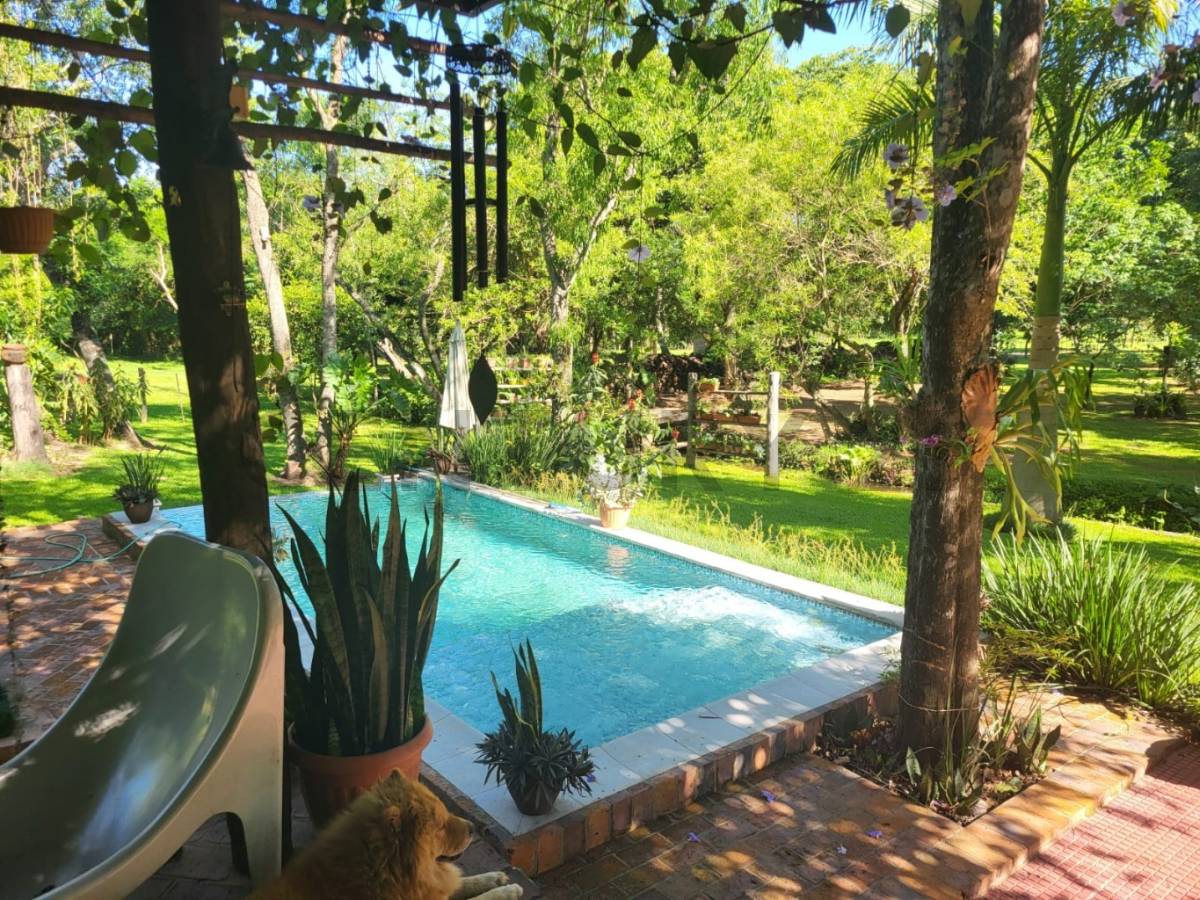 Alquiler de Quinta en Luque, Central — foto 2