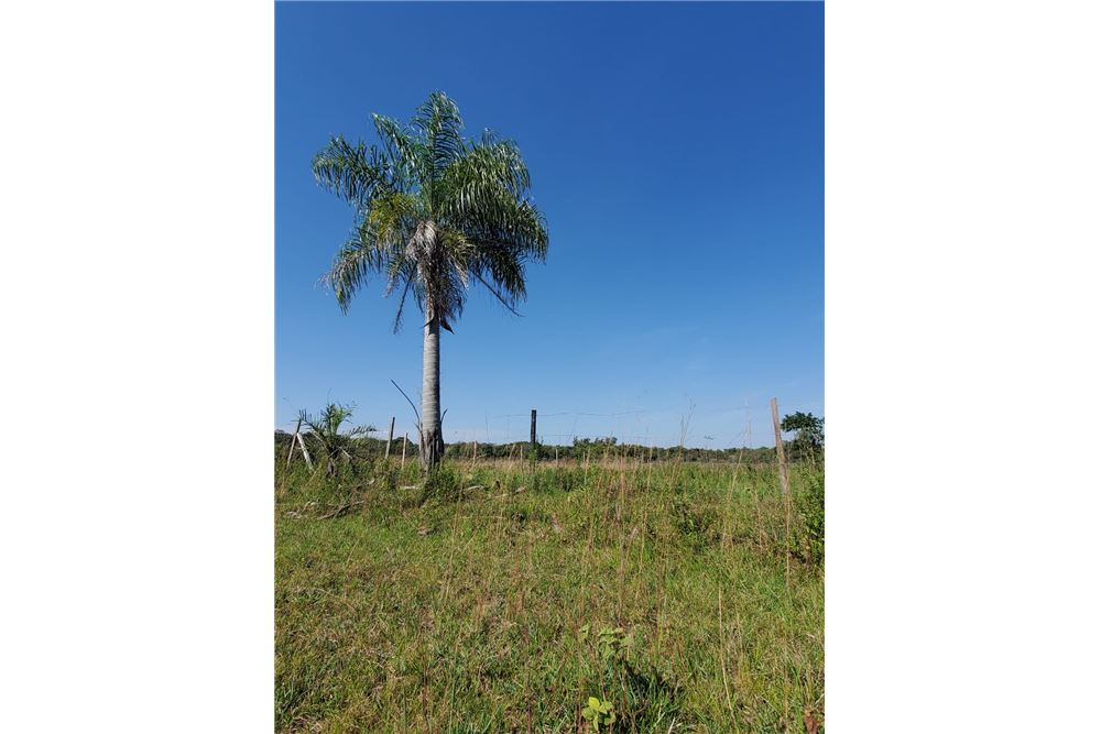 EN VENTA AMPLIO TERRENO DE 600 M² EN SAN BERNARDINO, — foto 2