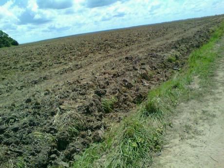 Terreno De 7800 Has En Misiones