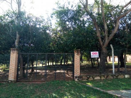 T045. Vendo Hermoso Terreno En San Bernardino!!