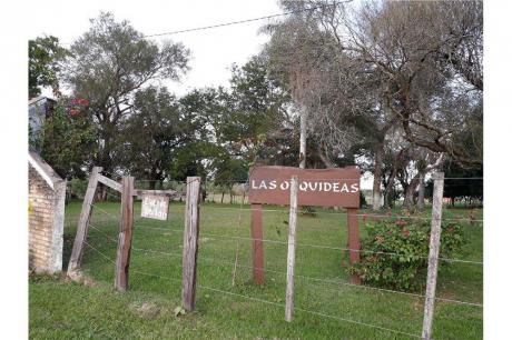 Hermosa Granja - Las Orquídeas - Loma Grande