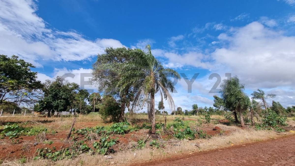 Terreno de 4.8 Hectáreas en Pedro Juan Caballero - foto 1