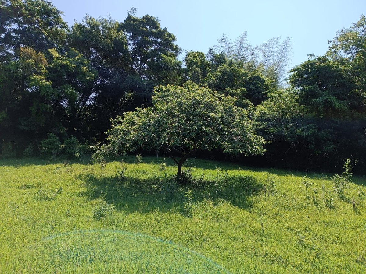 VENDO CASA QUINTA EN VILLARRICA AL PIE DEL CERRO AKATÍ — foto 3