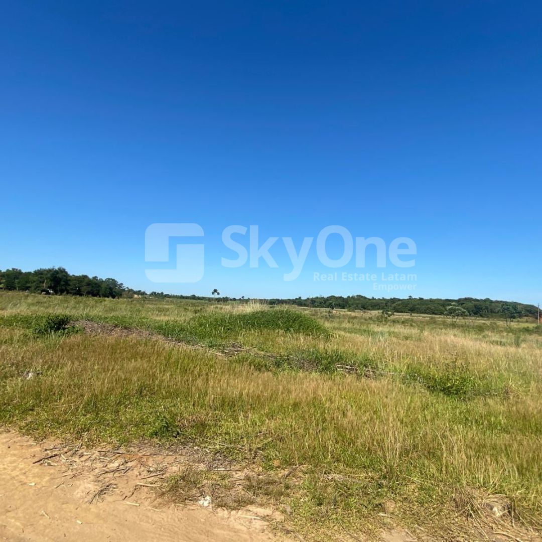 OPRTUNIDAD DE CAMPO EN TAVAPY — foto 2