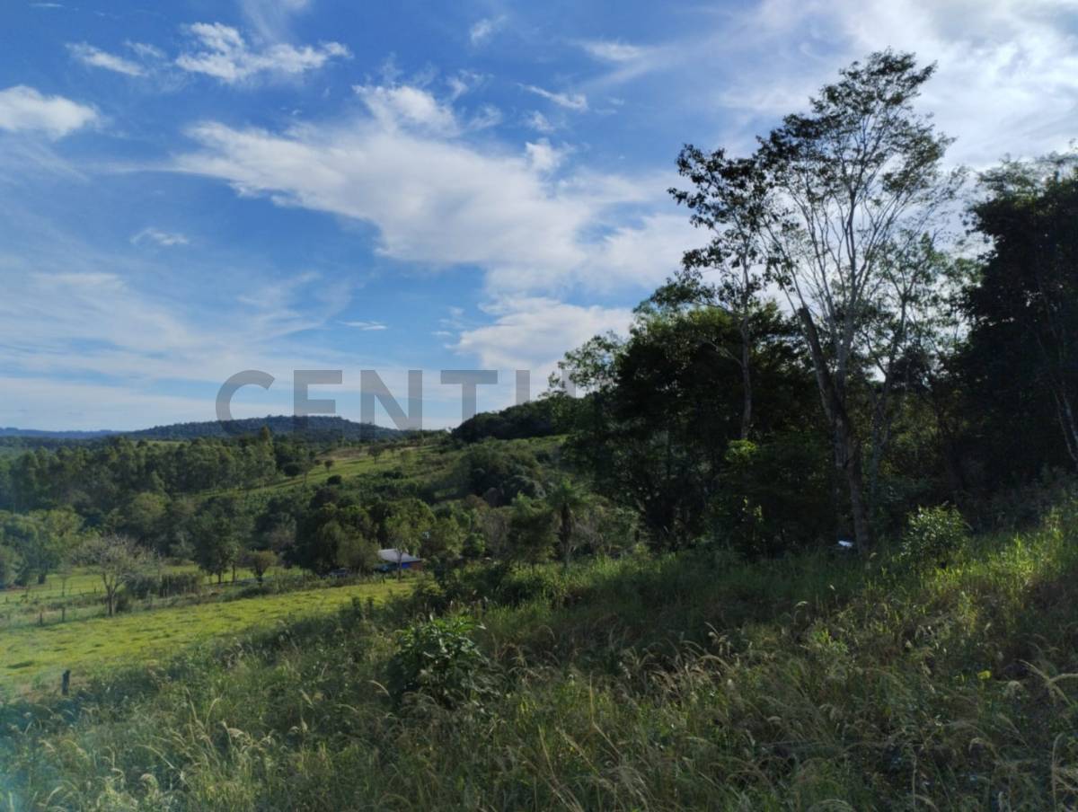 Venta de Propiedad Agrícola en Jesús, Itapúa GRANJA de 6ha. — foto 3
